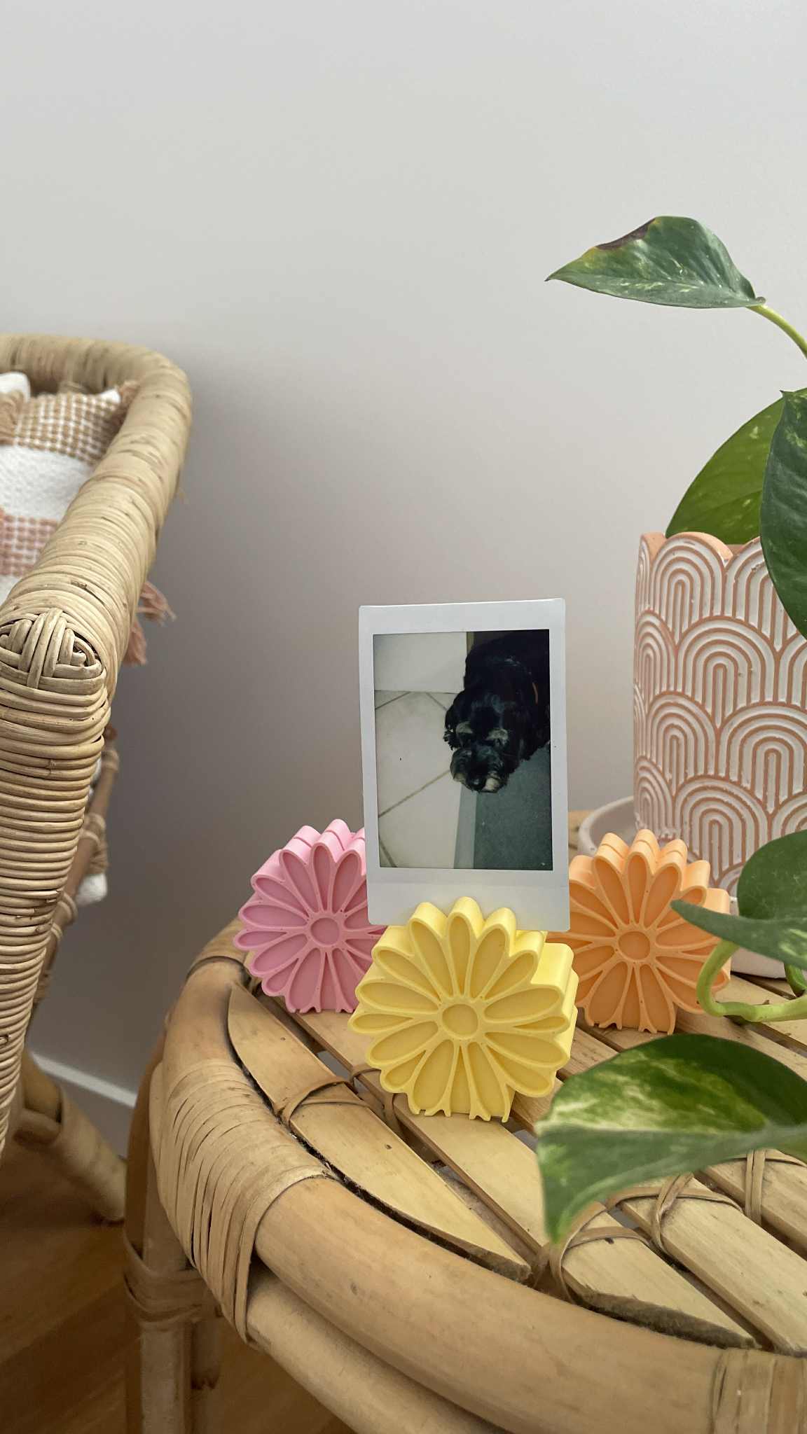 Daisy Photo Stands - Set of 3