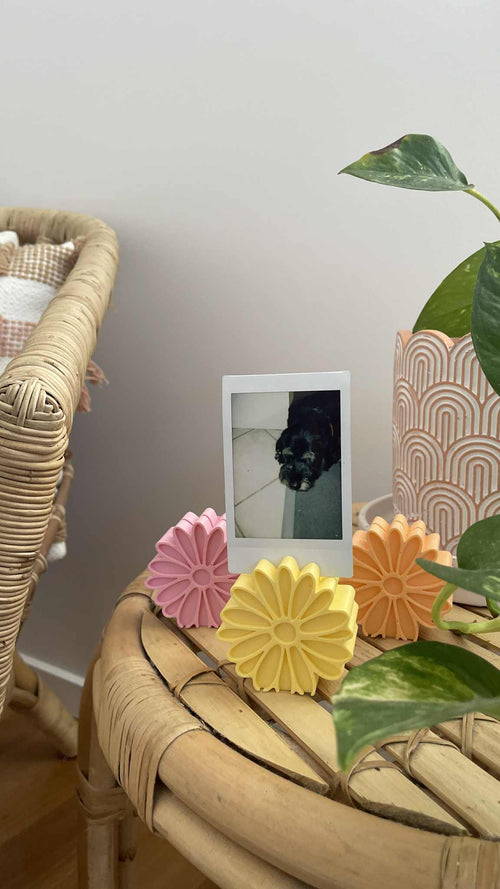 Daisy Photo Stands - Set of 3