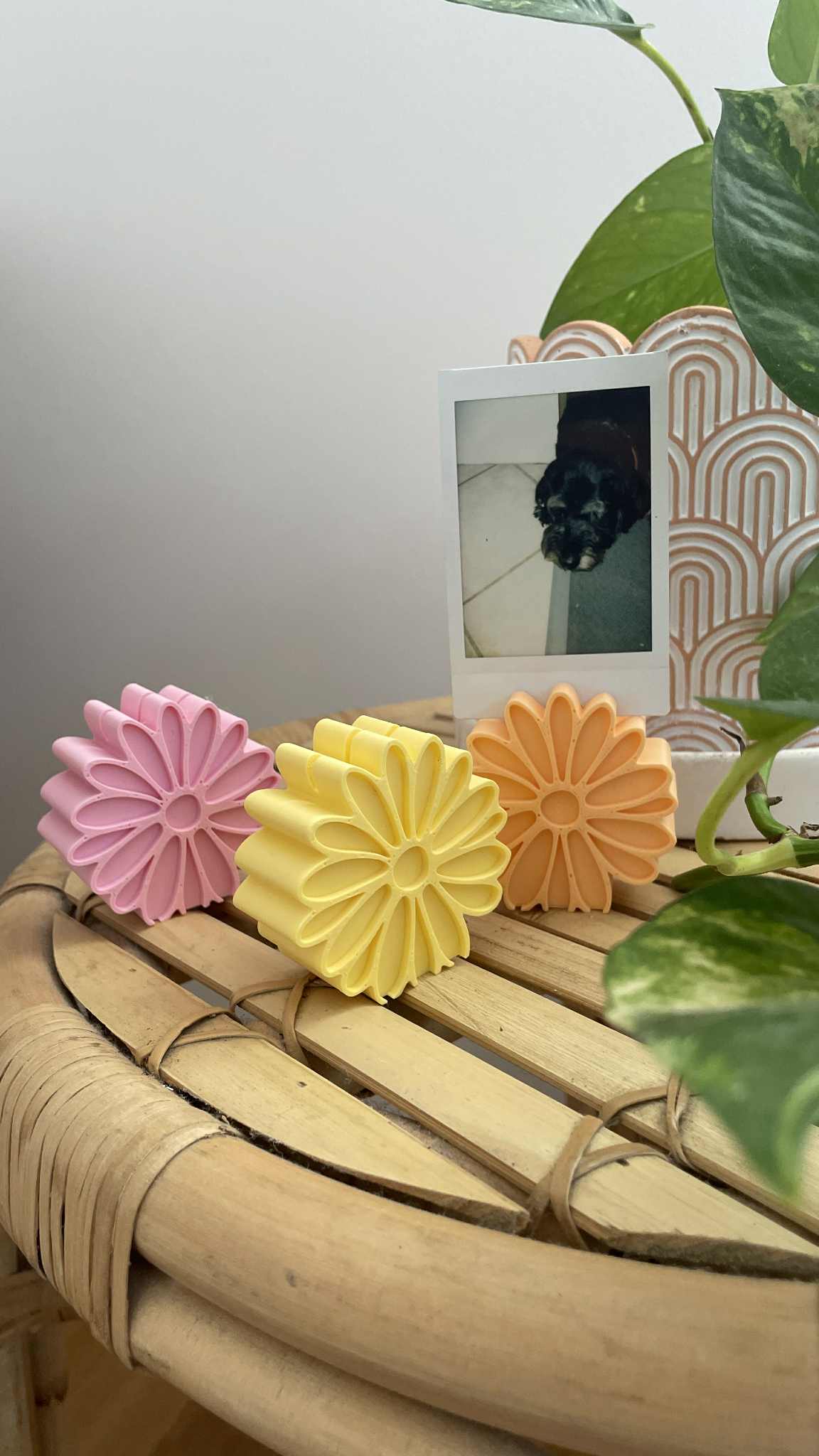 Daisy Photo Stands - Set of 3
