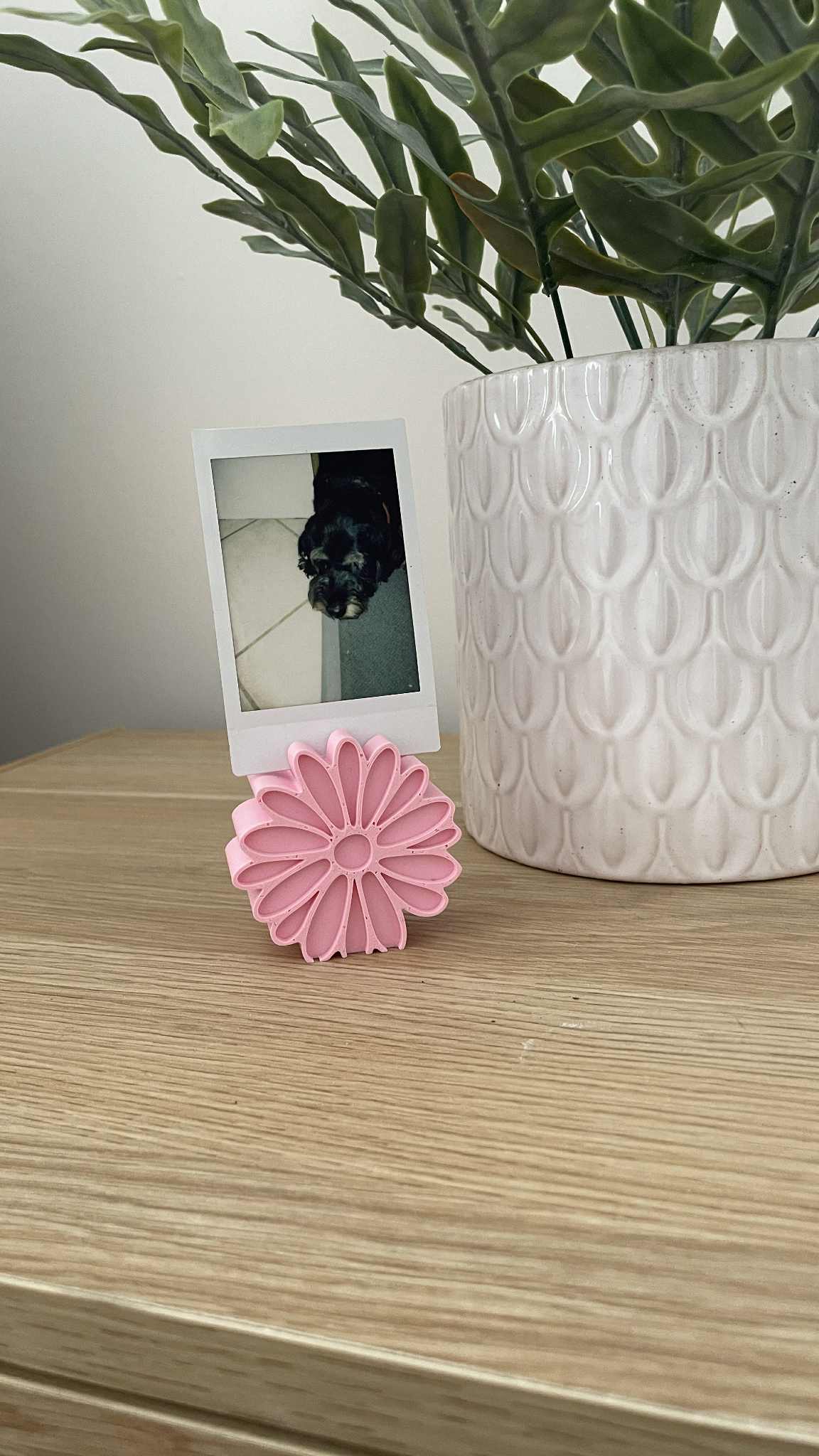 Daisy Photo Stands - Set of 3