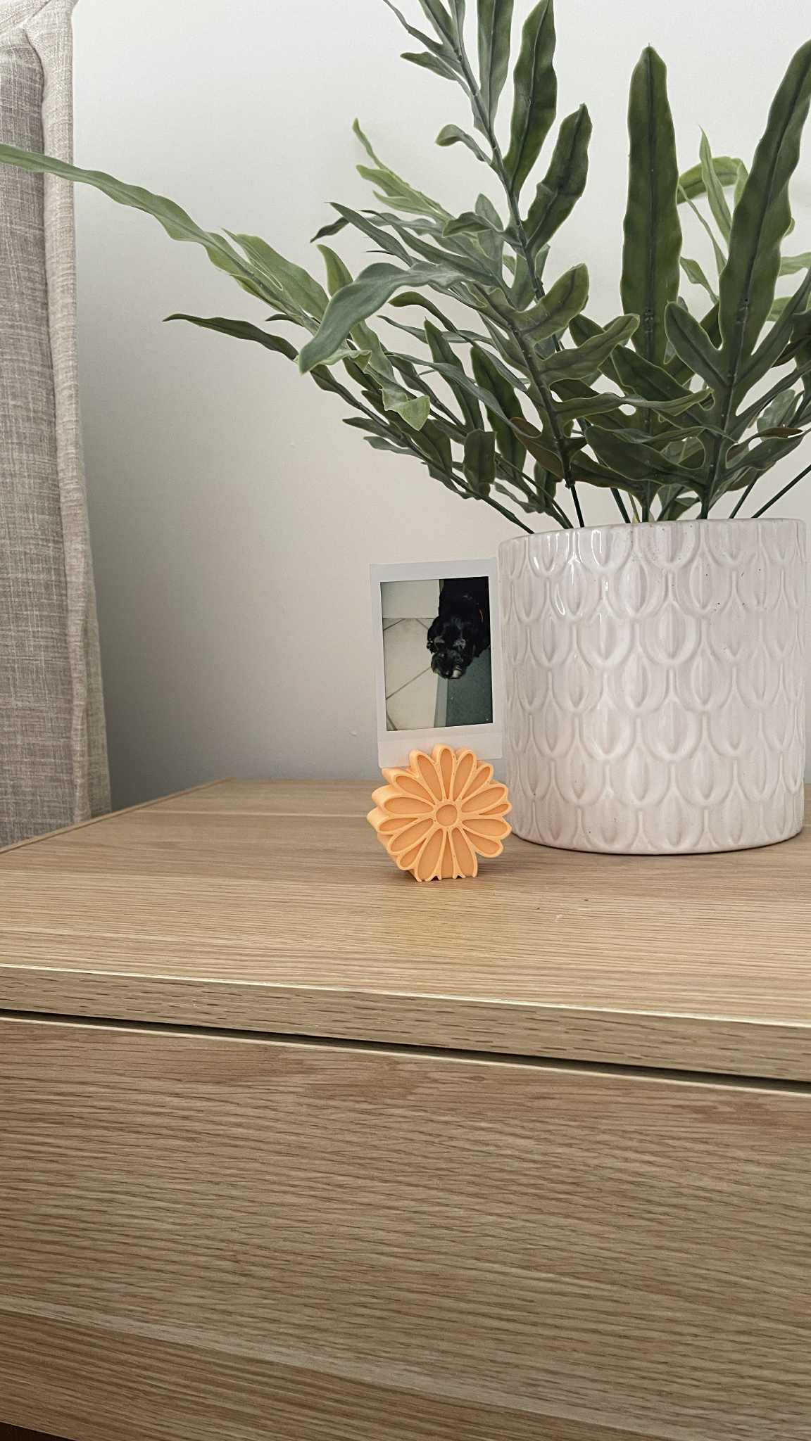 Daisy Polaroid Stand
