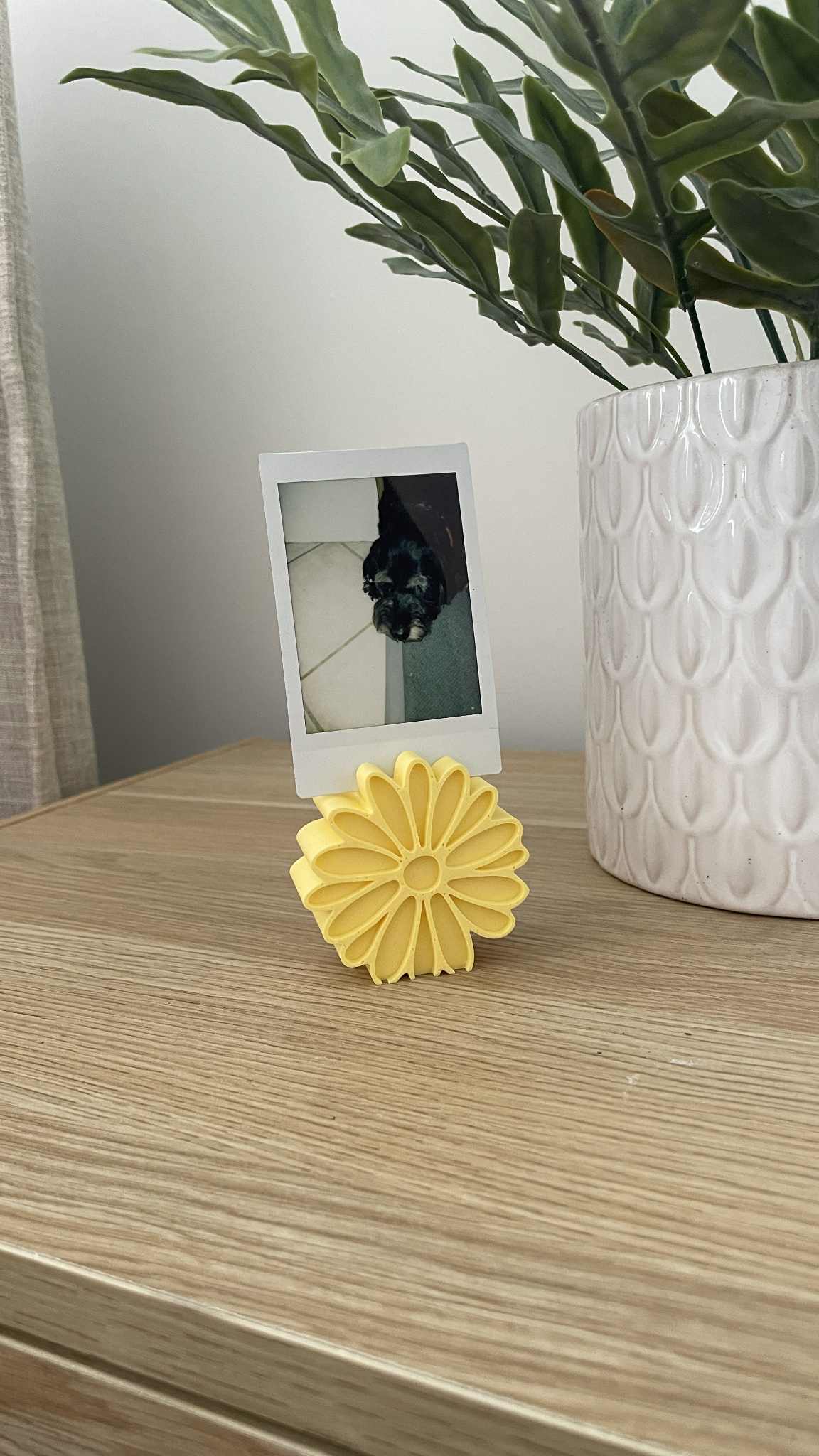 Daisy Photo Stands - Set of 3